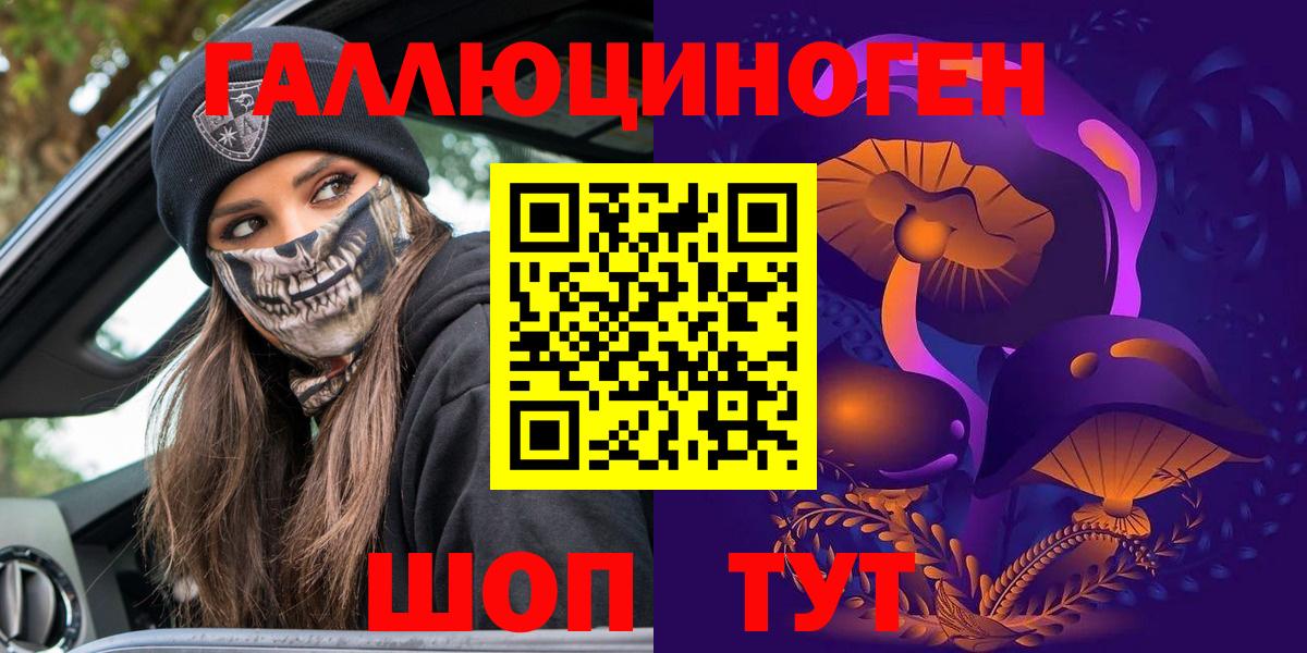 Псилоцибиновые грибы Psilocybe Тобольск